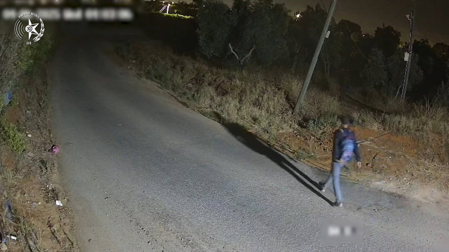 החוליה זוהתה דרך הרחפן