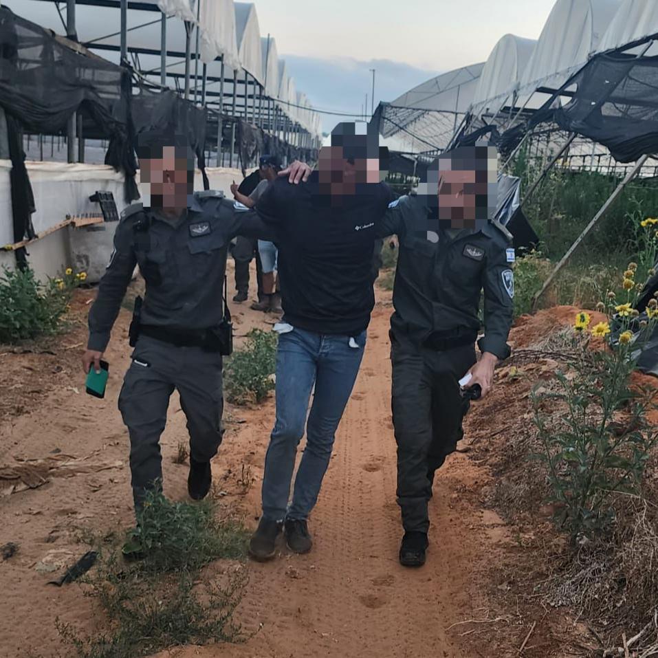 פעילות הכוחות והמעצר