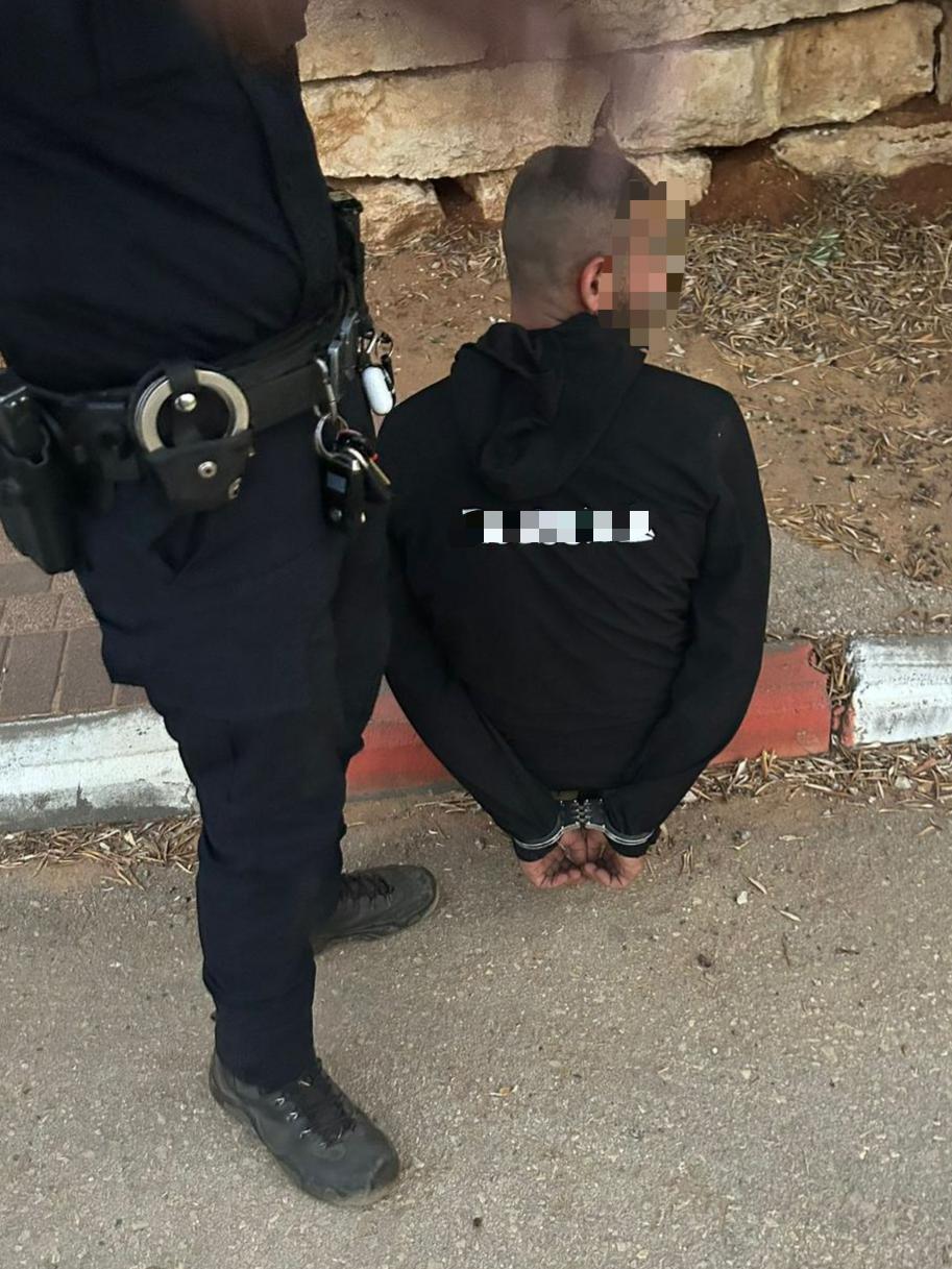 פעילות הכוחות והמעצר