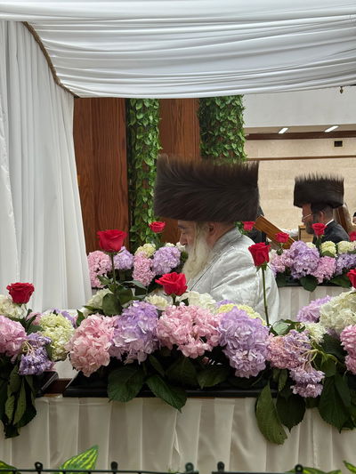 חג השבועות בחצה"ק קראלי