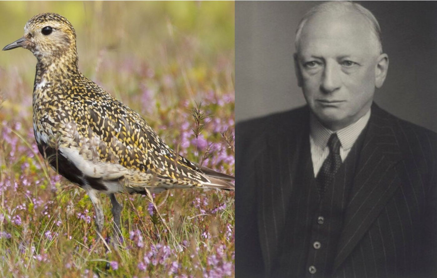 מימין - סר יו ביבר, מנהל בבירה גינס | משמאל - חופזי זהוב