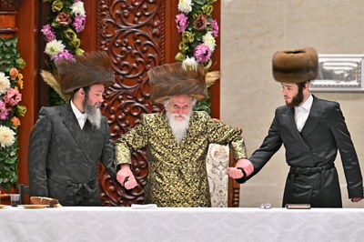 שבועות בחצה"ק ויזניץ