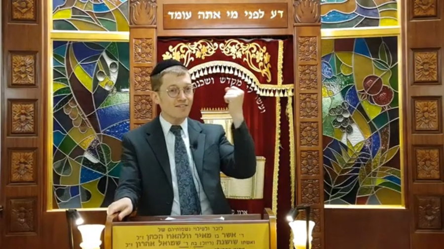 השיעור לפרשת נשא