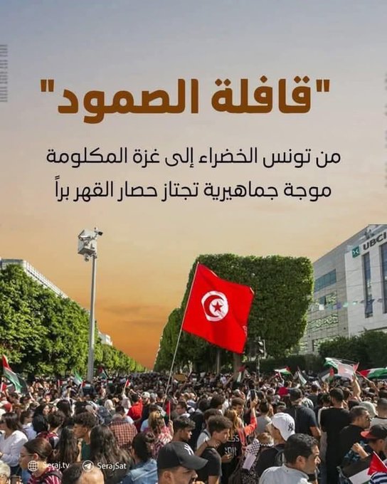 הכרזות לקראת יציאת השיירה הבוקר