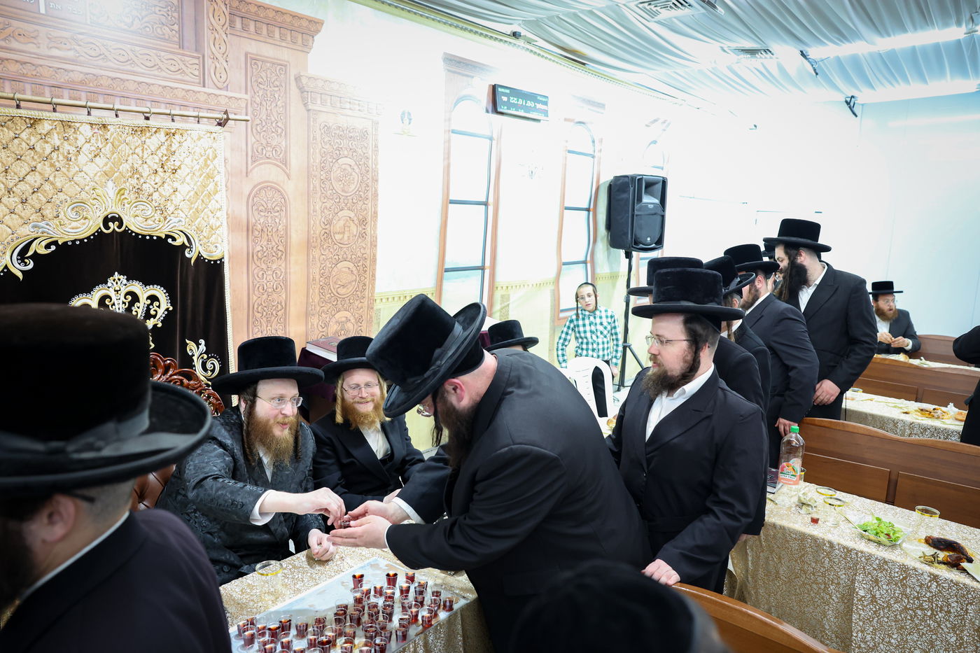 הילולא קדישא בספינקא בית שמש