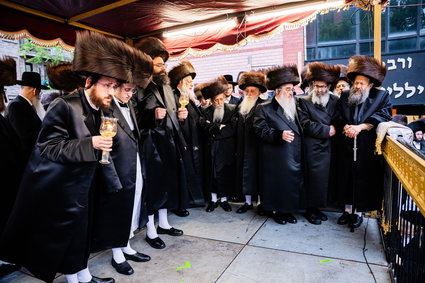 שמחת נישואי נכדת האדמו"ר מבאבוב - 45