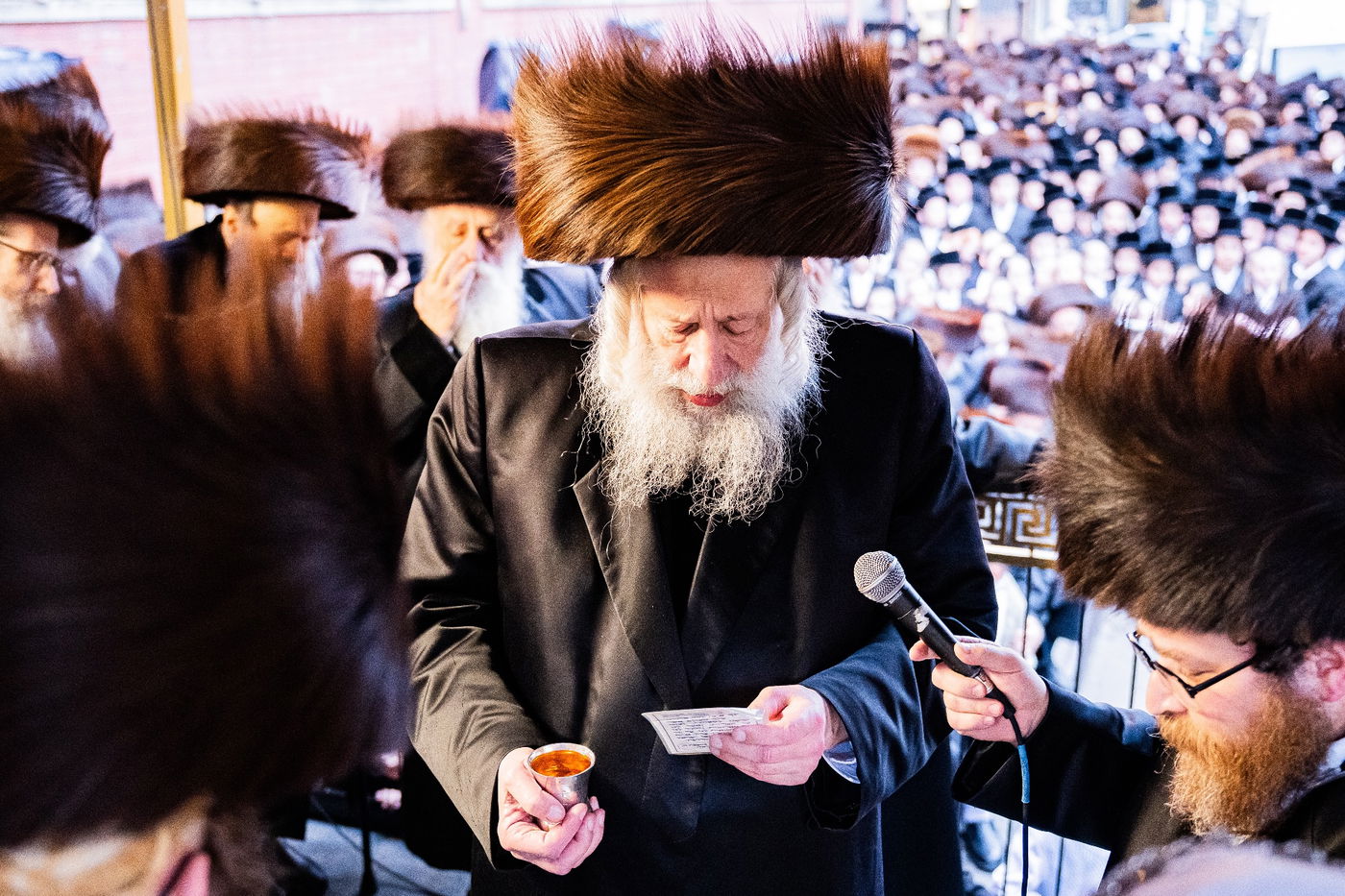 שמחת נישואי נכדת האדמו"ר מבאבוב - 45