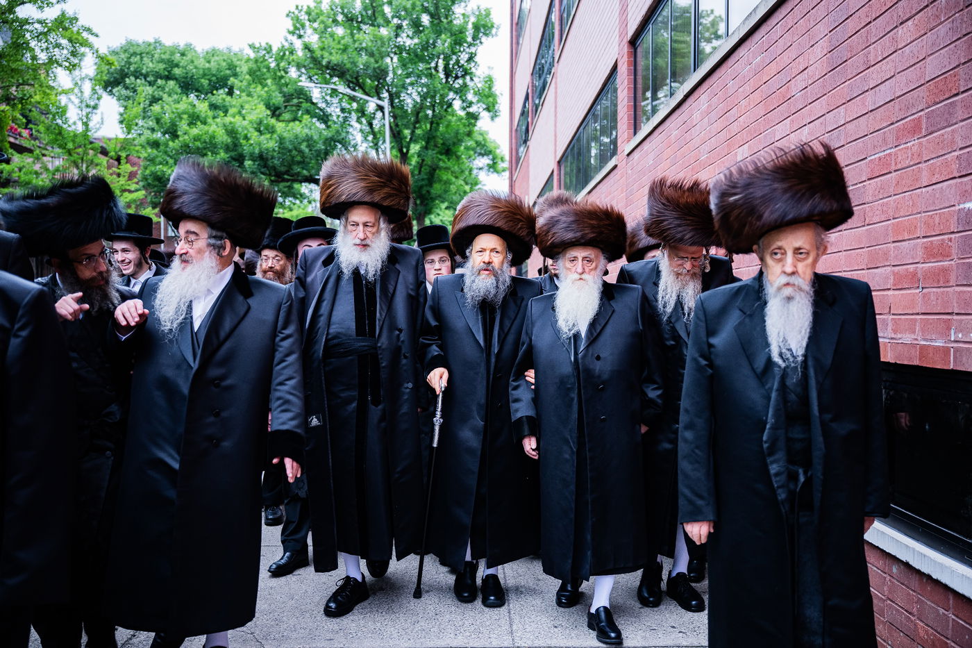 שמחת נישואי נכדת האדמו"ר מבאבוב - 45