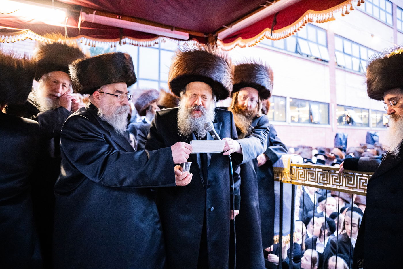 שמחת נישואי נכדת האדמו"ר מבאבוב - 45