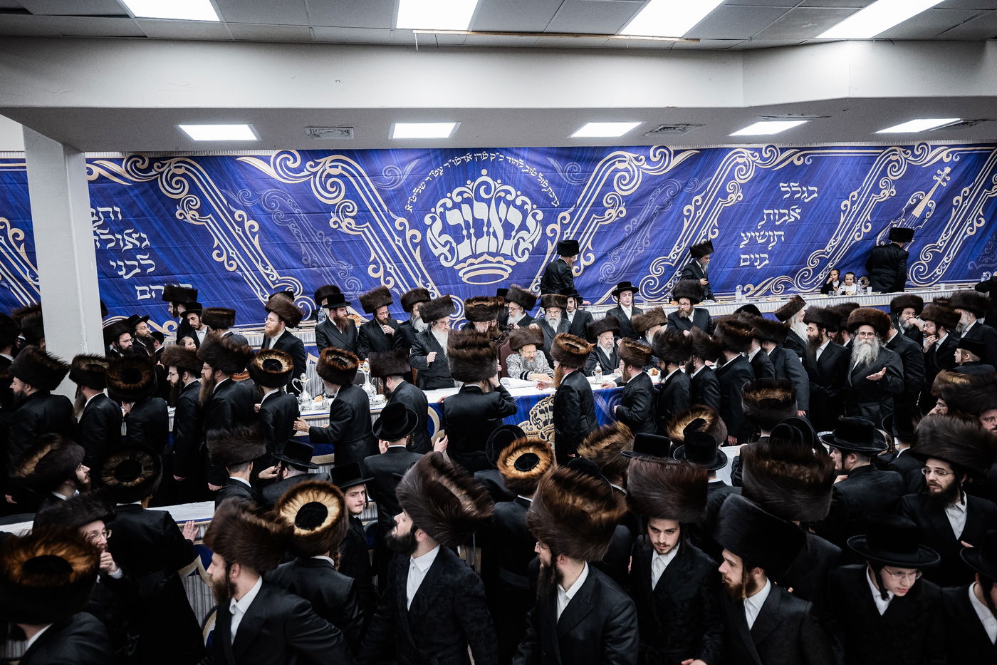 שמחת נישואי נכדת האדמו"ר מבאבוב - 45