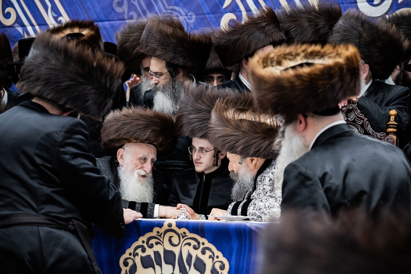 שמחת נישואי נכדת האדמו"ר מבאבוב - 45