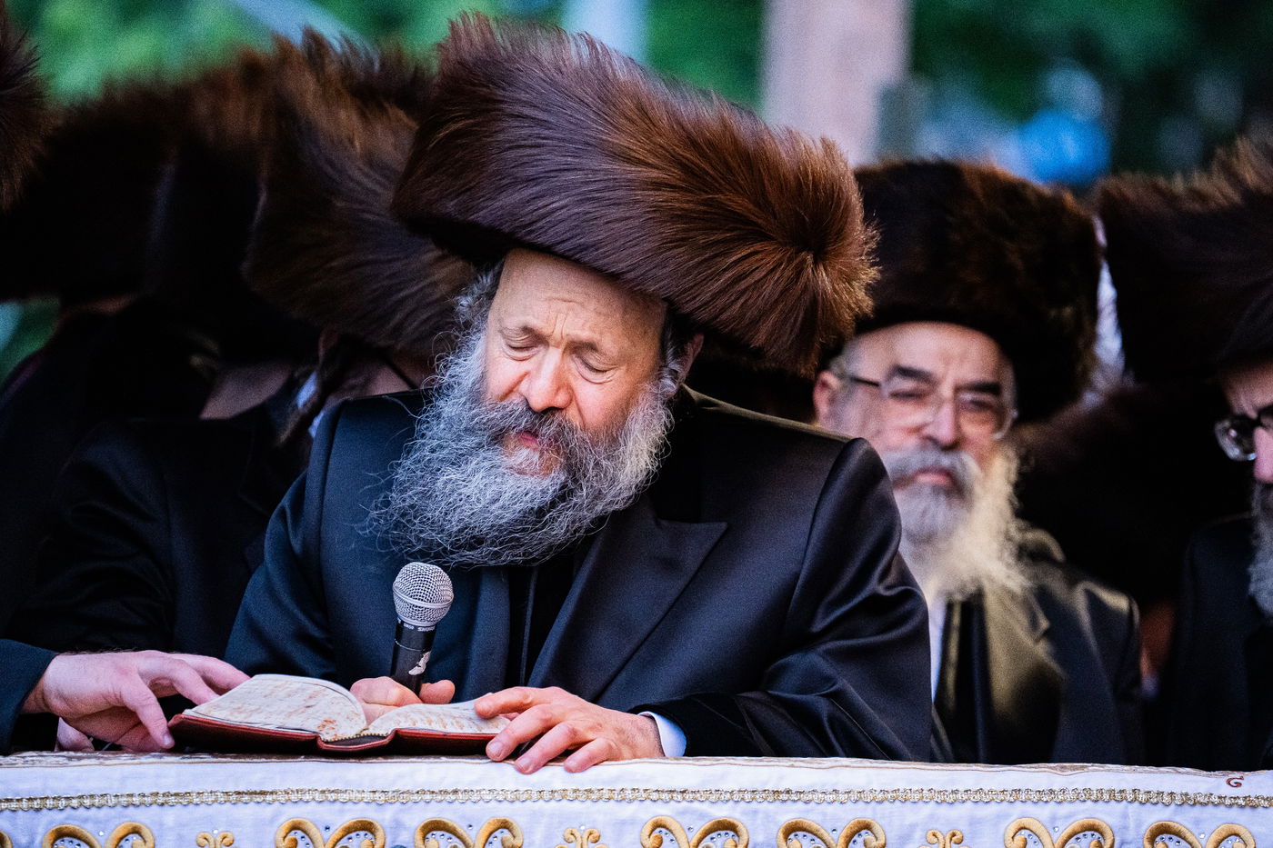 שמחת נישואי נכדת האדמו"ר מבאבוב - 45