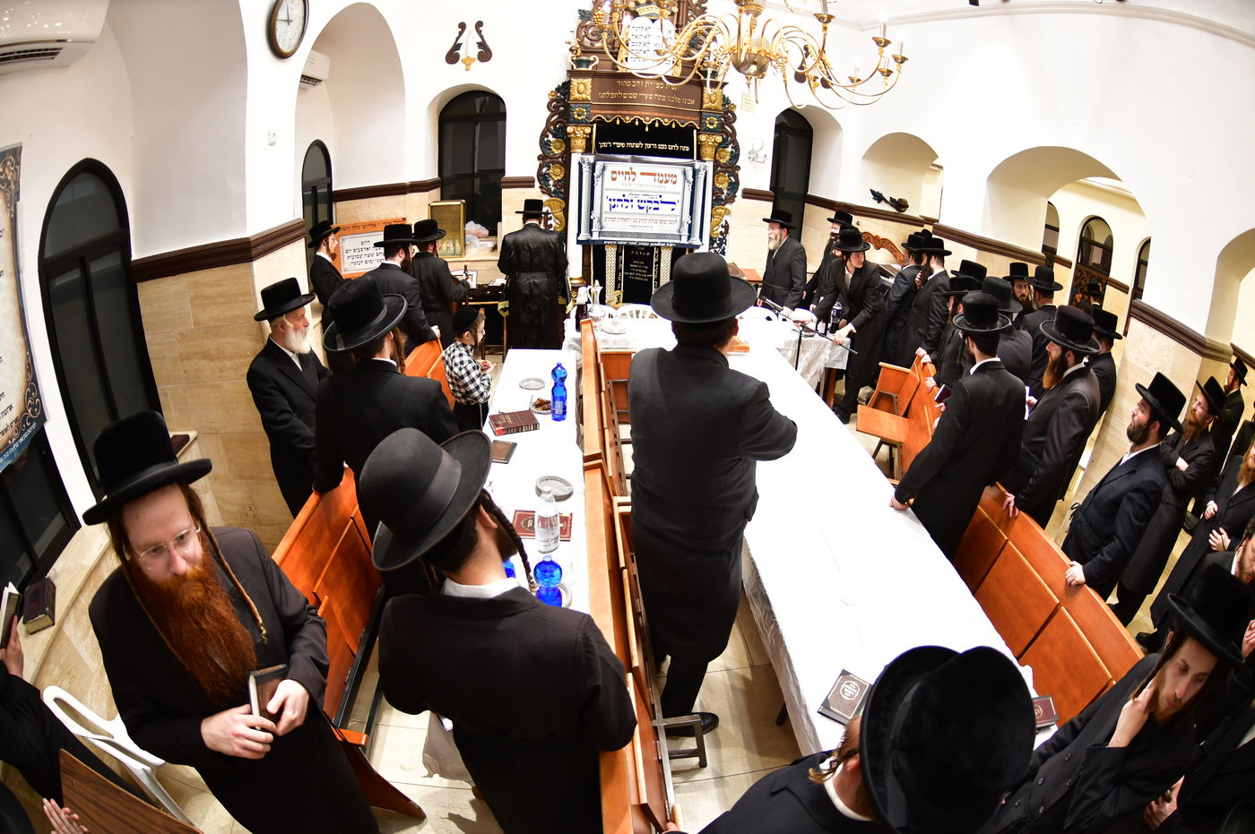 האדמו"ר משבט הלוי עם נדיבים בטבריה