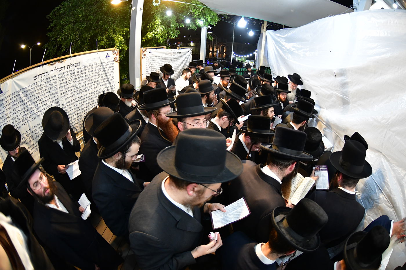 האדמו"ר משבט הלוי עם נדיבים בטבריה