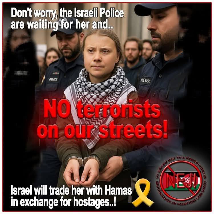 בואו לצחוק! מבחר ממים ותגובות משעשעות ברשת על גרטה והיאכטה 