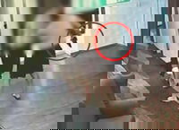 בהלה במלון בטבריה