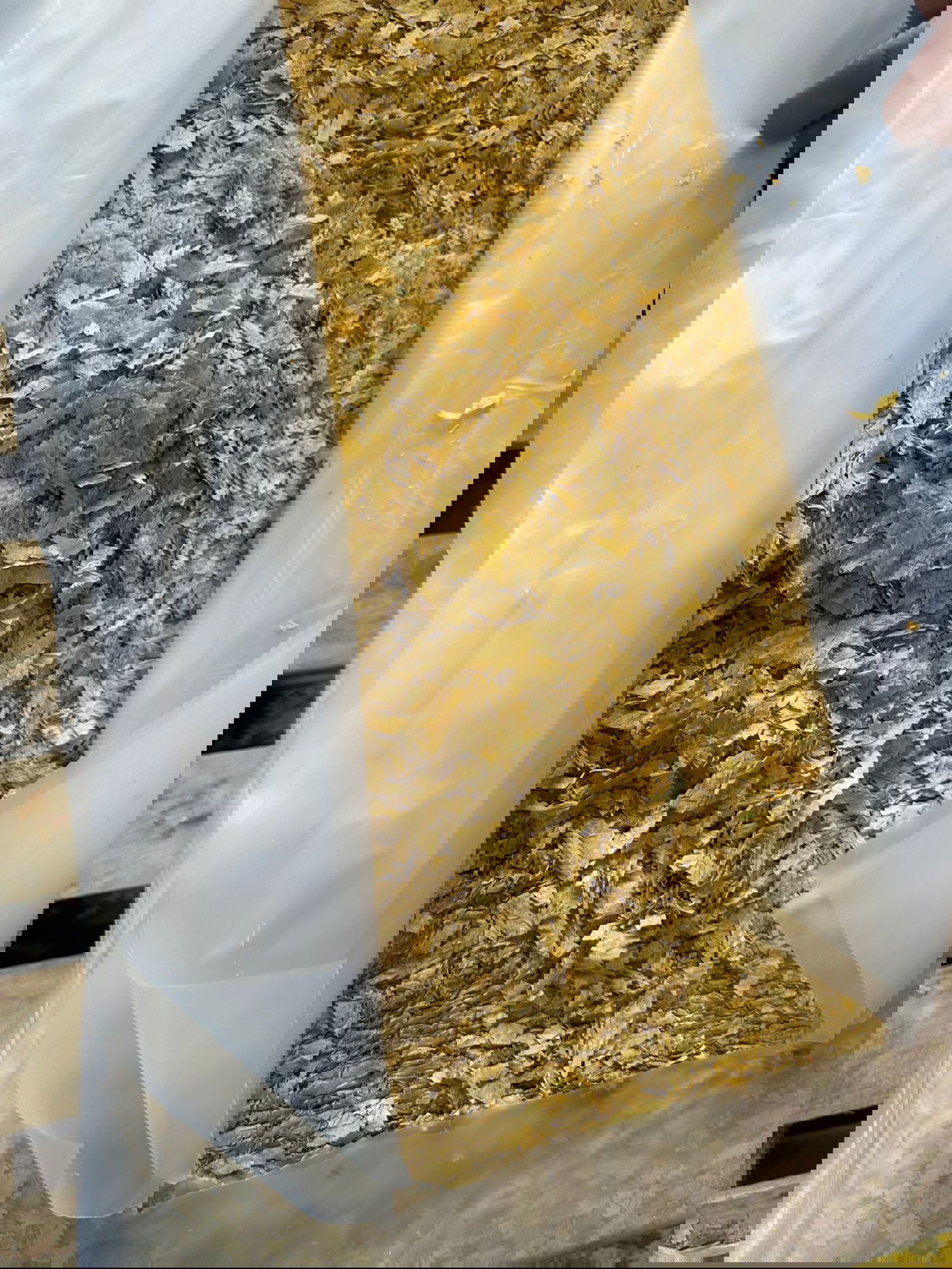 ניסיון ההברחה 