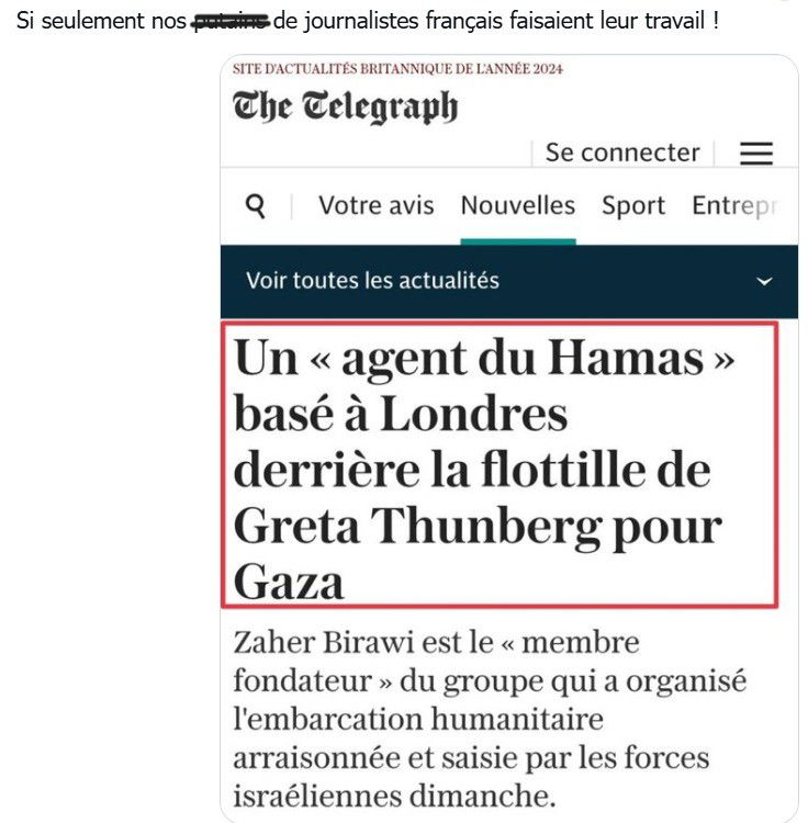 בואו לצחוק! מבחר ממים ותגובות משעשעות ברשת על גרטה והיאכטה 