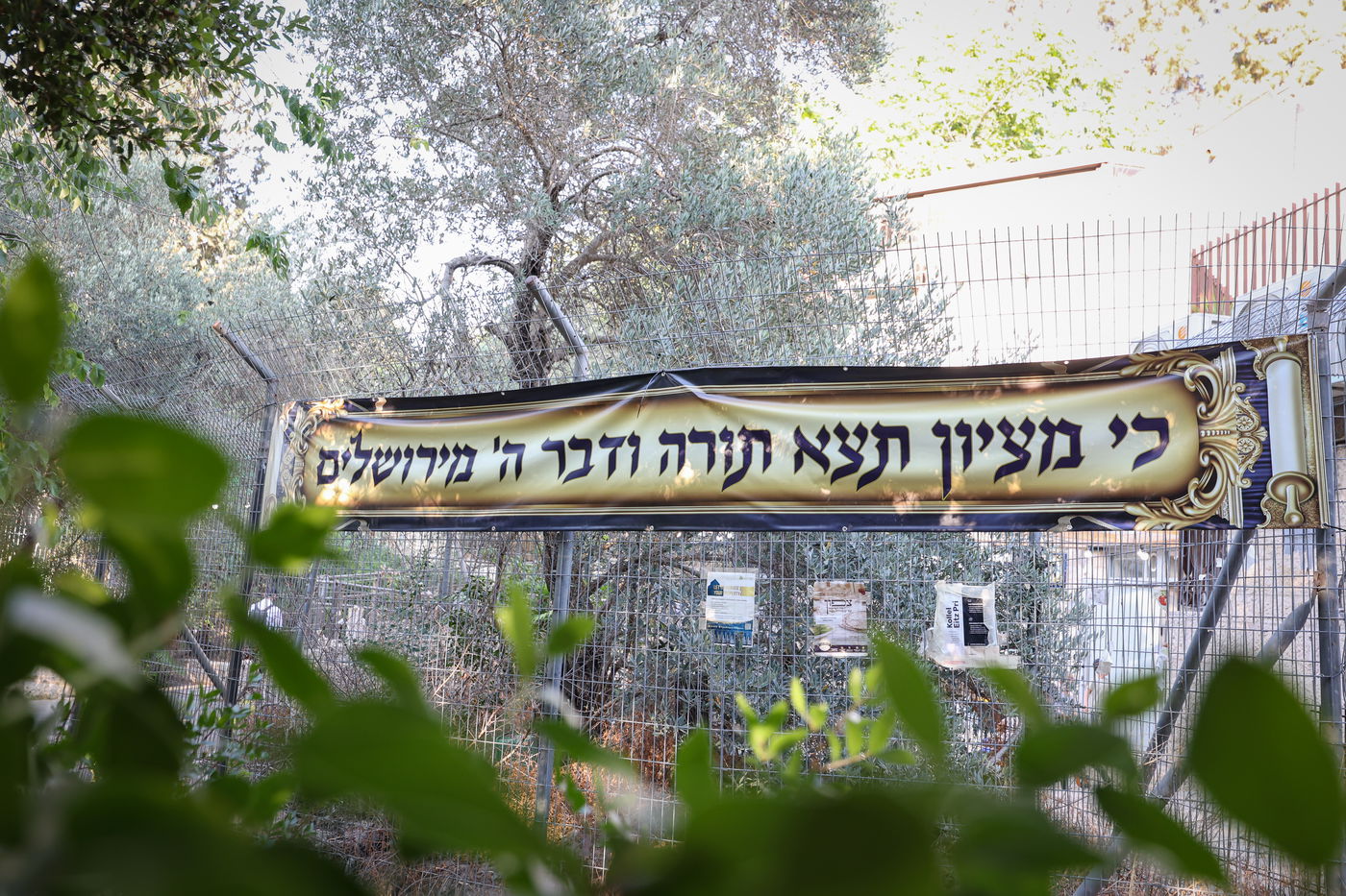 הכנסת ס"ת לקהילת 'בית שלמה' בירושלים