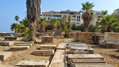 בית עלמין יהודי