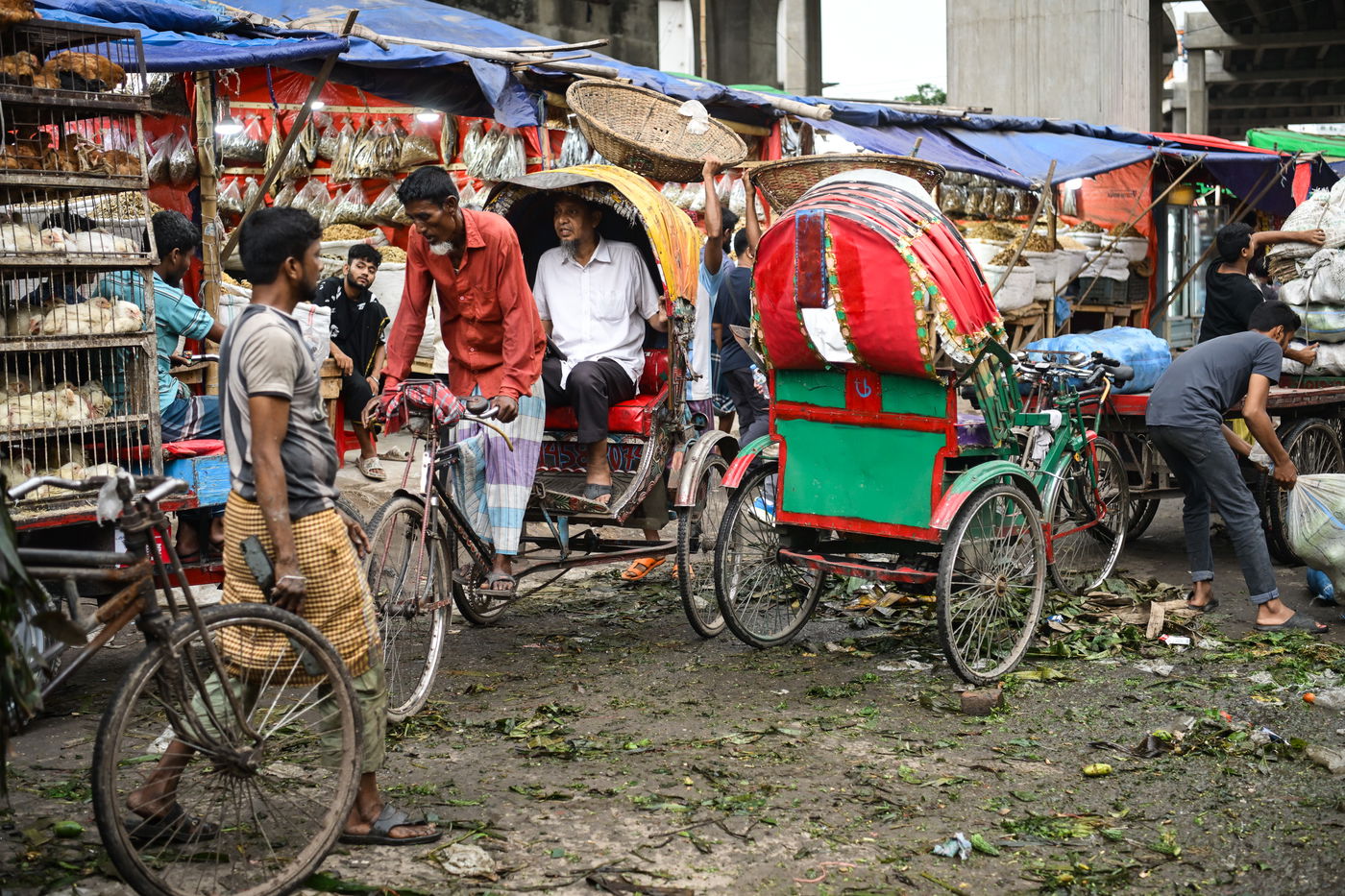 מסע מרתק בבנגלדש
