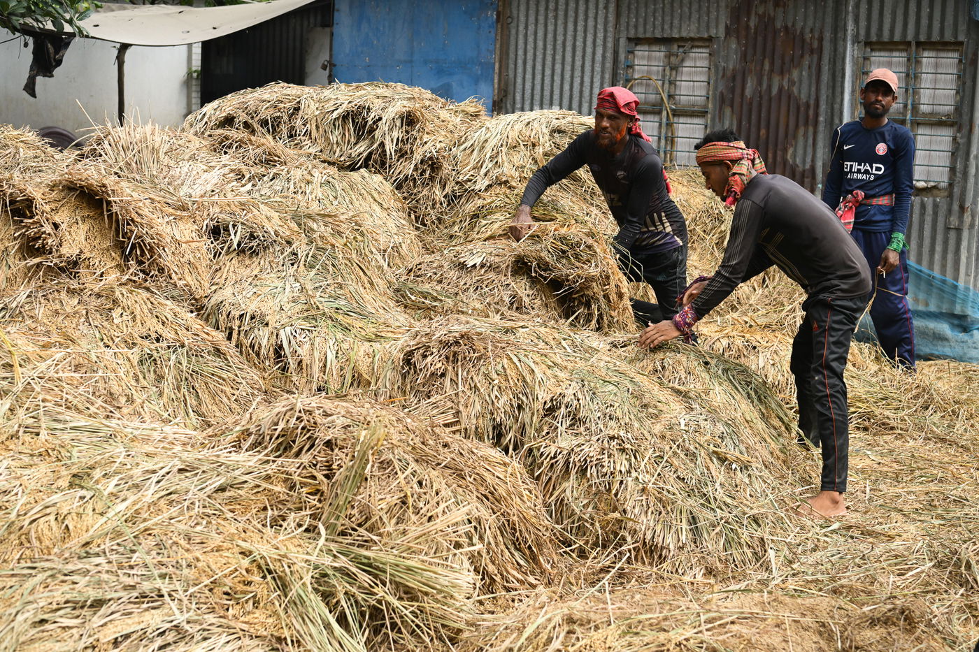 מסע מרתק בבנגלדש