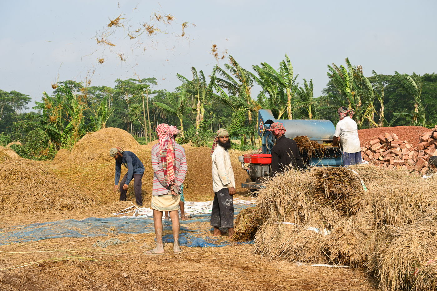 מסע מרתק בבנגלדש