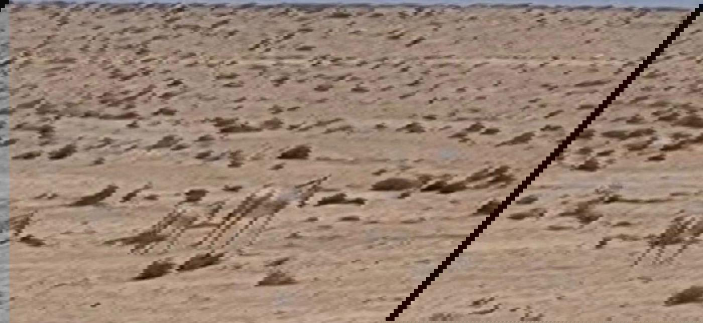 העיירים בנגב