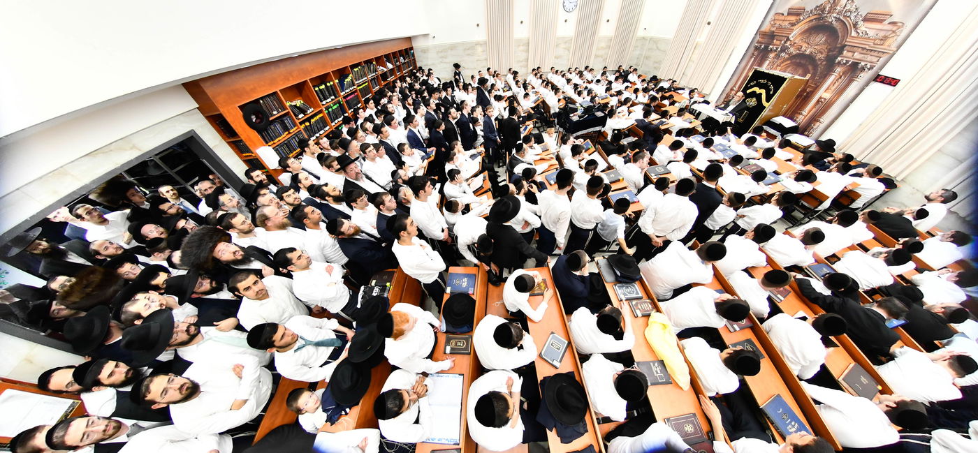 הגאון רבי ישראל בונים שרייבר בשיחה בבית השם