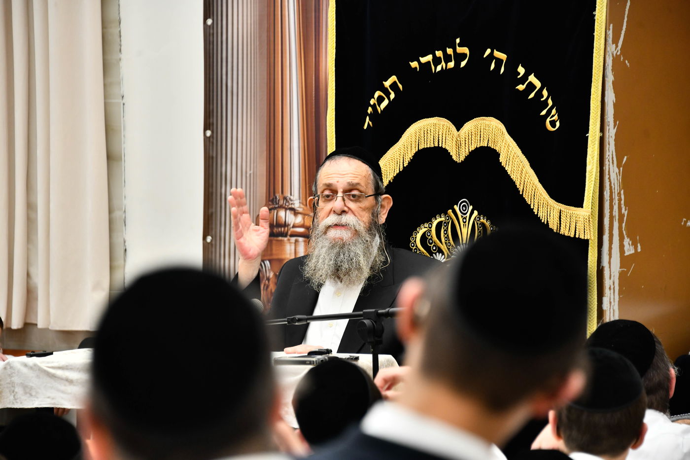 הגאון רבי ישראל בונים שרייבר בשיחה בבית השם