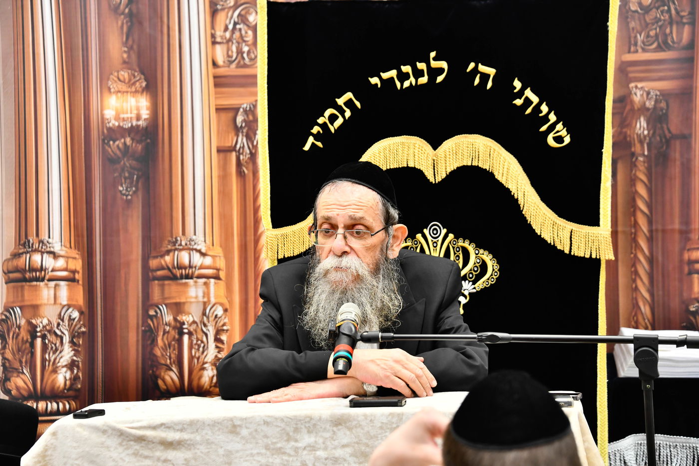 הגאון רבי ישראל בונים שרייבר בשיחה בבית השם