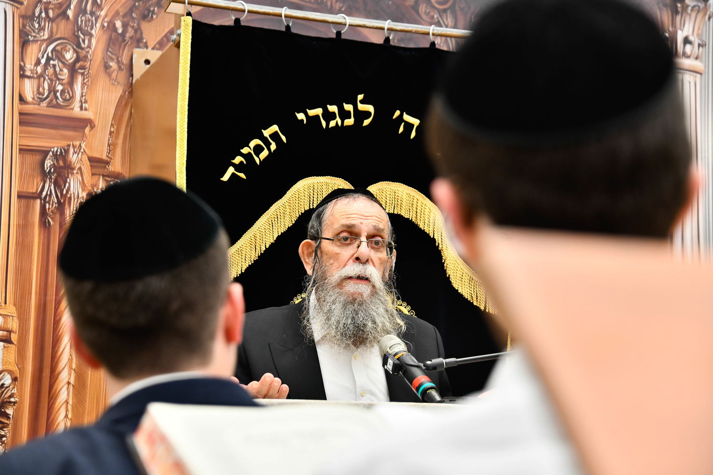 הגאון רבי ישראל בונים שרייבר בשיחה בבית השם