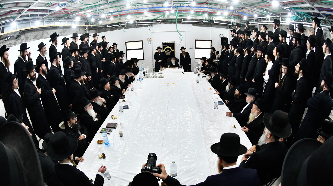 הילולא קדישא במודז'יץ