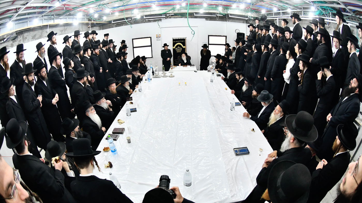 הילולא קדישא במודז'יץ