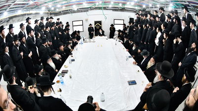 הילולא קדישא במודז'יץ