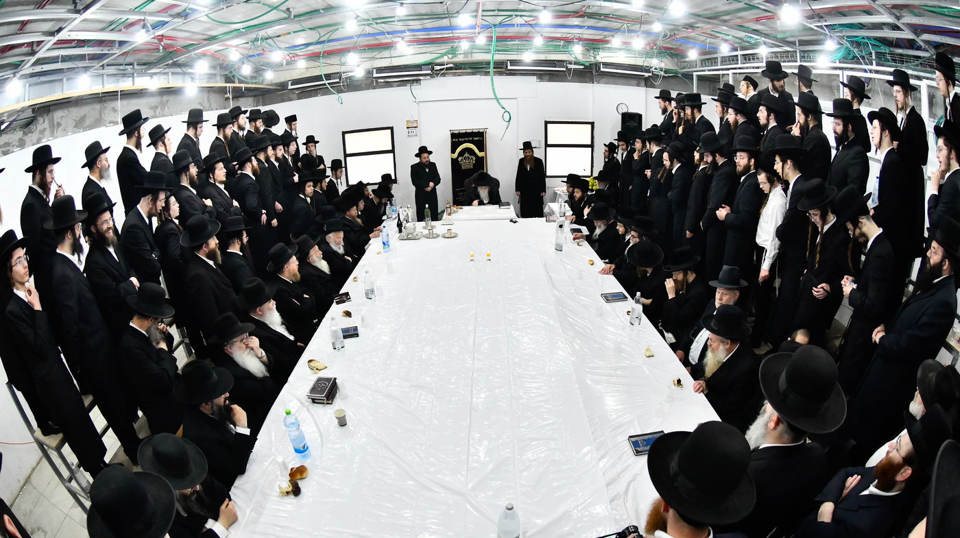 הילולא קדישא במודז'יץ