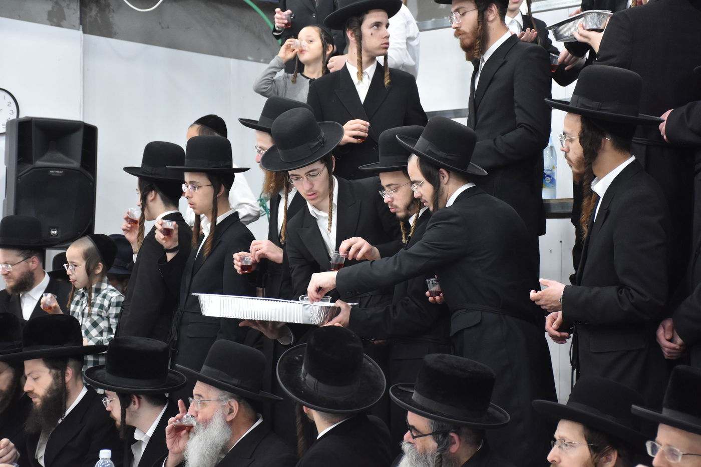 הילולא קדישא במודז'יץ