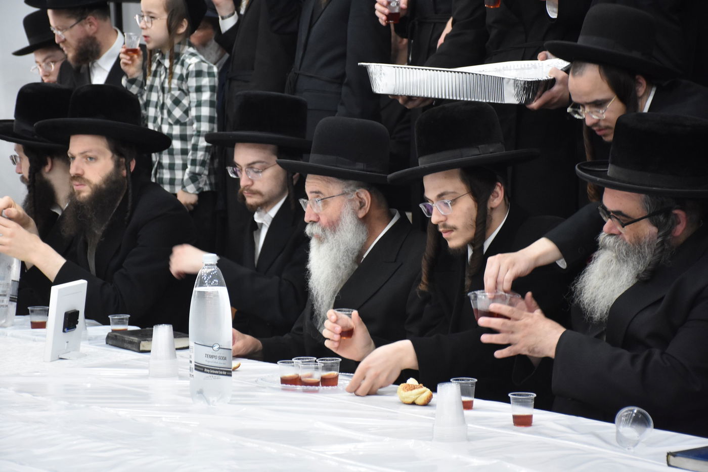 הילולא קדישא במודז'יץ