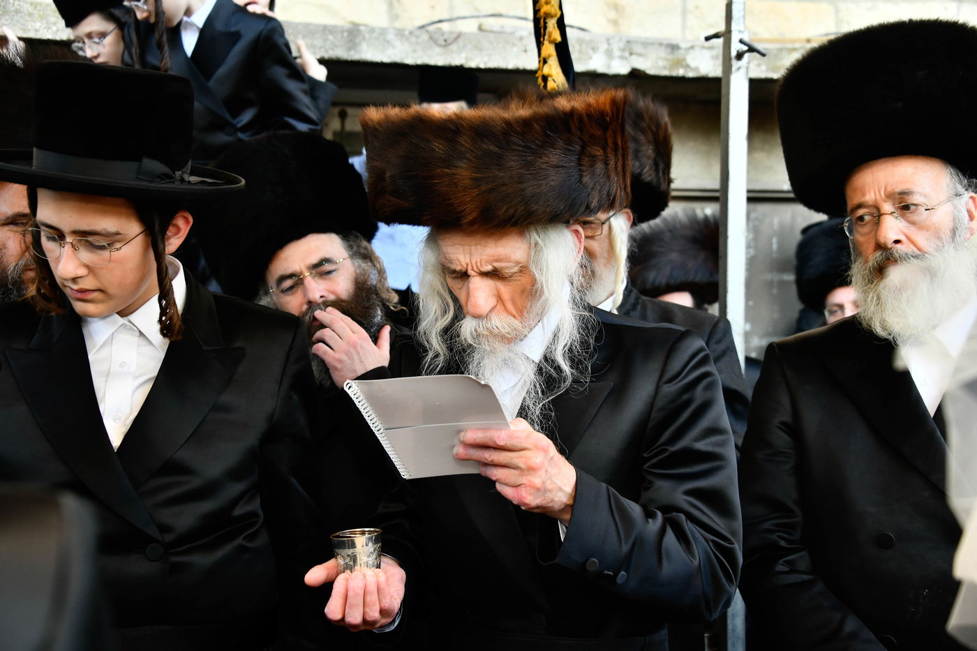 שמחת בית מעליץ - האלמין - סטריקוב ירושלים