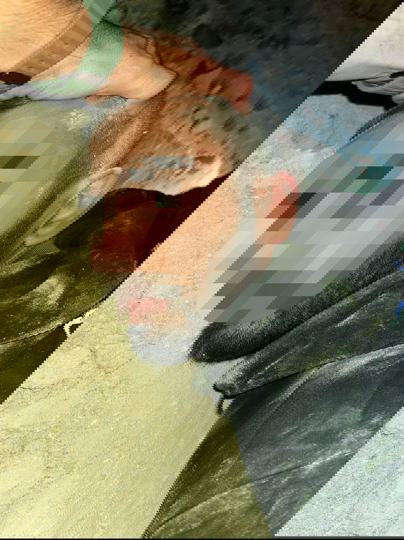 יצאו מהרכב והחלו לברוח: כשהחולייה נתפסה בזמן האזעקות