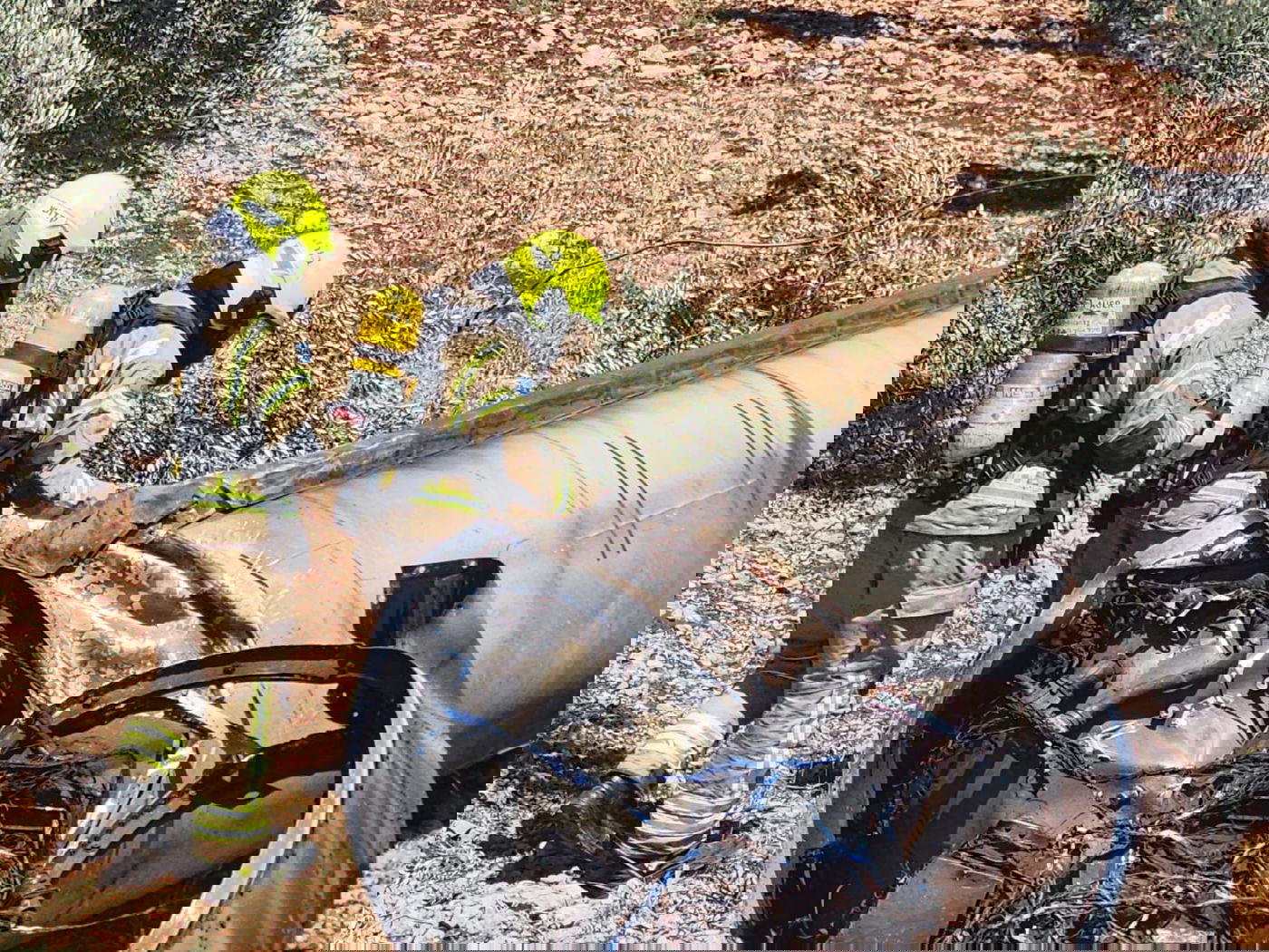 זירת הפינוי