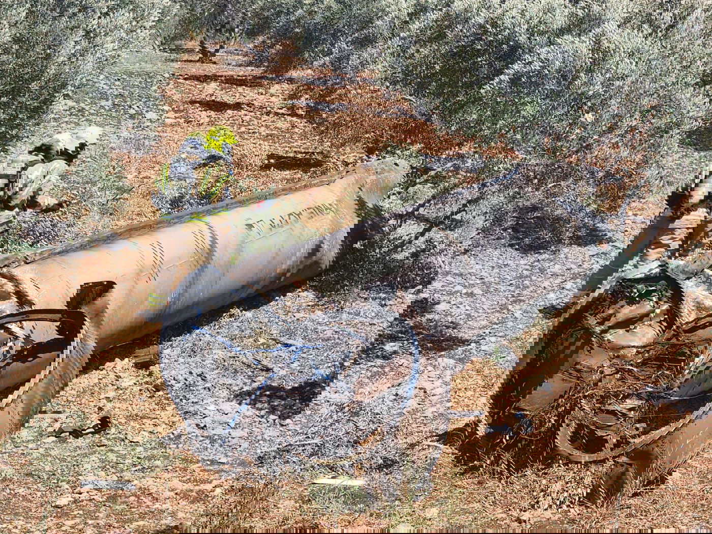 זירת הפינוי