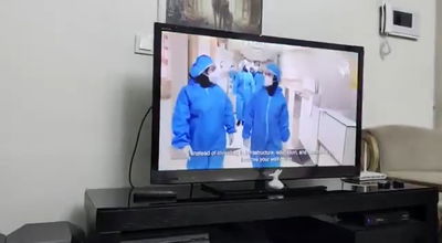 פריצה לשידורי הטלוויזיה באיראן: "זה הרגע שלכם! צאו לרחובות!"