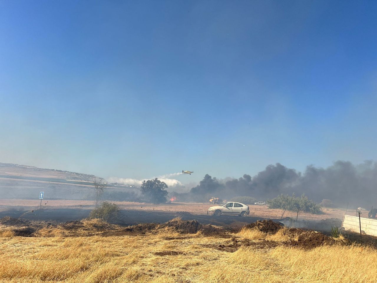 השריפות בצפון