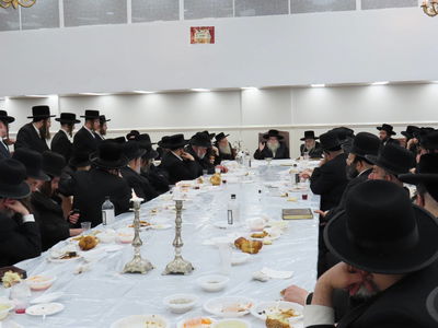 הילולא קדישא בתולדות צבי דספינקא