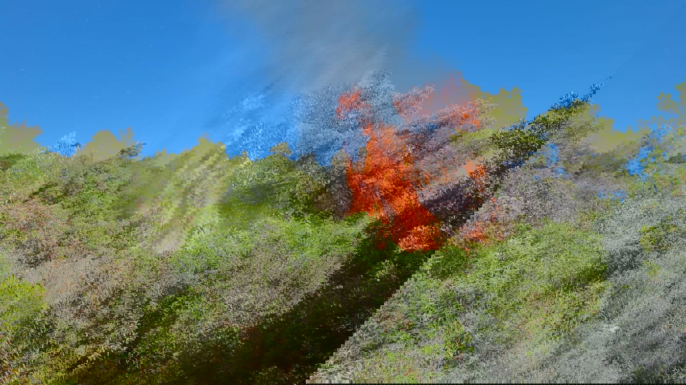 השריפה שפרצה