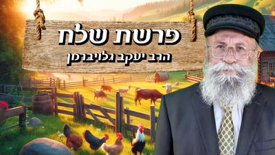 פינתו של הרב יעקב גלויברמן: המצווה שמביאה ברכה לפרנסה ולשלום בית | צפו