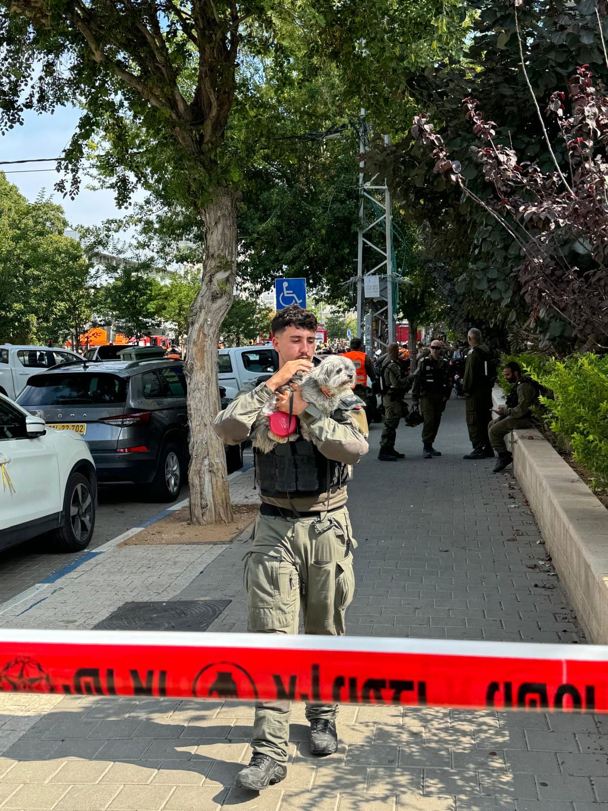 לוחמי מג"ב מחלצים כלב באחת מזירות הנפילה