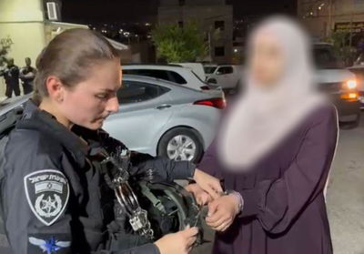 מעצר החשודה בהסתה