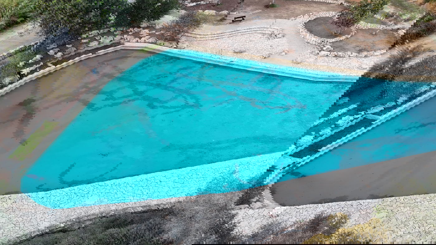 מעיינות נדירים מתוך ספר "המקומות הנדירים הקדושים והרטובים בארץ ישראל"